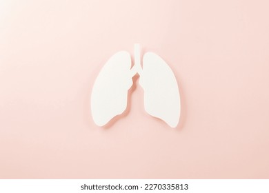 World tuberculosis day. Lungs paper cutting symbol on pink background, copy space, concept of world TB day, banner background, respiratory diseases, lung cancer awareness, Paper Art, 24 March
