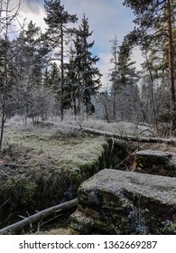 World War 1 Trench In A Forest On A Frosty Winter Day. 