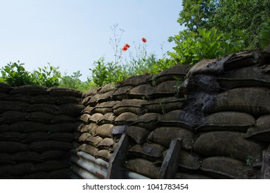 World War 1 Trenches