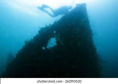 World War II Shipwreck Diving In Coron , Palawan, Philippines.