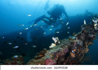 World War II Shipwreck Diving In Coron , Palawan, Philippines.