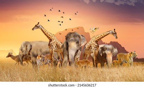 World Wildlife Day  Groups of wild beasts were gathered in large herds in the open field in the evening when the golden sun was shining. - Powered by Shutterstock