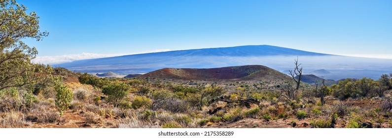 The worlds largest volcano Mauna Loa in Hawaii, Big Island, Hawaii, USA. Mauna Loa is still the largest active volcano on Earth. The Hawaiian shield volcanoes are the largest mountains on Earth - Powered by Shutterstock