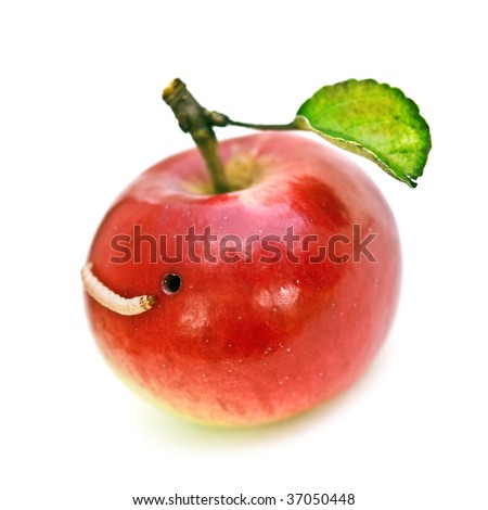 worm in apple isolated on white