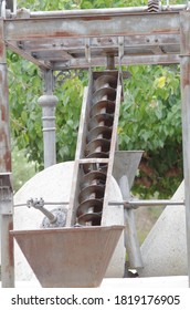 Worm Drive In A Olive Oil Mill