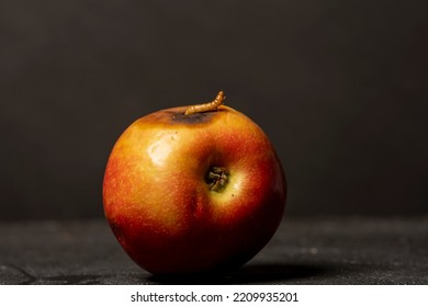 Worm Eating Rotten Apple On Black Background