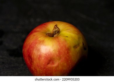 Worm Eating Rotten Apple On Black Background