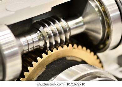 worm gear or worm drive tramsission