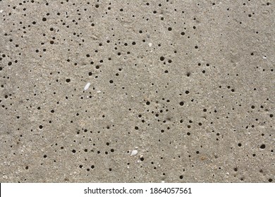 Worm Holes In Sand Beach. Coastal Porosity