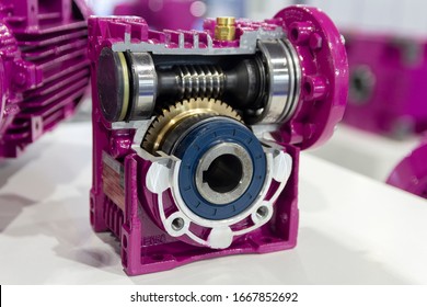 Worm reduction gear in section on stand is close-up. Industry