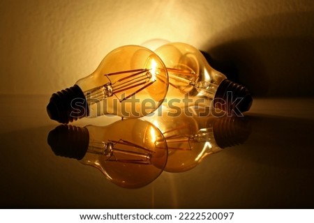 Worm tone reflection of vintage bulb .