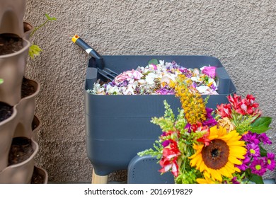 Worms can eat flowers too! A vermicomposting system (worm composter) sits on a balcony. Worms eat food scraps and produce worm castings and worm tea to be used as fertilizer. Redirect waste.