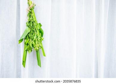 Wormwood calamus hanging from doors and windows on Chinese Dragon Boat Festival