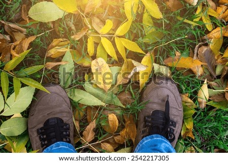 Similar – Image, Stock Photo Vibrant colorful laces in pile