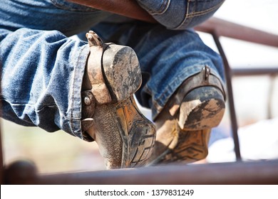 cowboys in jeans