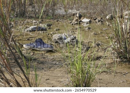 a worn shoe stuck in the mud surrounded by rocks, water and grass, the loneliness is excruciating even during the day.