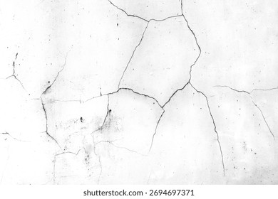 ​A worn white wall texture with large cracks and fine details in black and white. A dramatic, abstract, and minimalist background, perfect for overlays and graphic design.