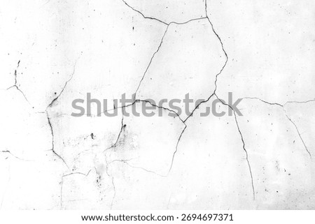 ​A worn white wall texture with large cracks and fine details in black and white. A dramatic, abstract, and minimalist background, perfect for overlays and graphic design.