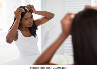 Worried Black Woman Looking At Hair Roots While Standing Near Mirror In Bathroom, Concerned African American Female Suffering Dandruff Problem, Flaky Scalp Or Hairloss, Selective Focus On Reflection