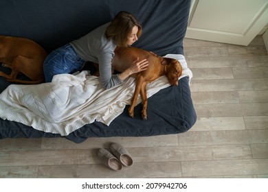 Worried Female Check On Sick Dog Lying Weak And Unhappy On Couch. Pet Suffer From Loneliness And Grief After Owner Death. Young Woman Caring For Ill Vizsla At Home. Domestic Animal Treatment Concept