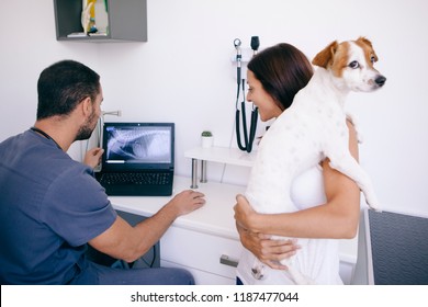 Worried Pet Owner Listening To The Radiography Results