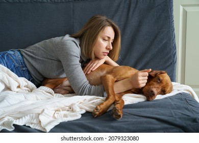 Worried Woman Taking Care Of Weakening Old Dog At Home. Poor Animal Suffer From Stomach Ache Need Medical Treatment In Vet Clinic. It's Time To Let Your Friend Go. Caring For Aged Pet At Home Concept
