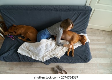 Worried Woman Touching Healed Paw Of Sleeping Dog After Bone Fracture In Car Crash Accident. Loving Owner Take Care Of Pet After Treatment In Vet Clinic. Female On Sick Leave Because Of Animal Illness