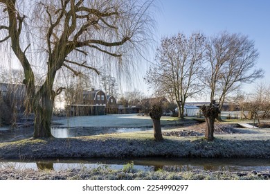 Woudrichem on a cold frozen sunny morning, a scenic serene landscape yard with icy grass, trees, river water and houses. Typical Dutch old traditional town in North Brabant, Europe