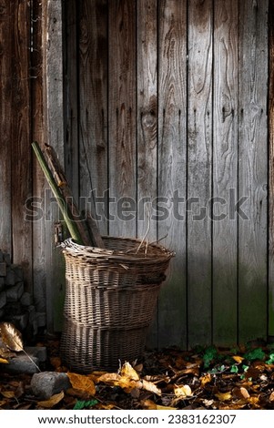Woven basket filled with tools stands on the outer wall of a wooden hut illuminated by the sun. Golden glowing autumn leaves on the ground complete the autumnal mood. Beautiful autumn still life.
