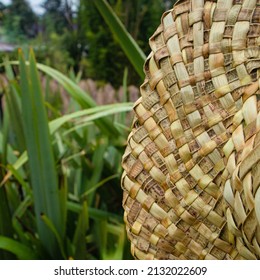 Woven Flax Hat Brim Beside Flax Plants New Zealand Harakeke