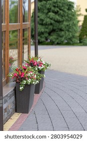 woven rectangular planters with red and white flowers standing outside a building window next to a paved stone walkway with copy space.