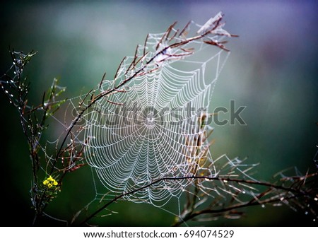 Similar – Image, Stock Photo brown-green Environment