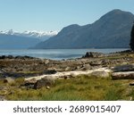 Wrangell and view from town
