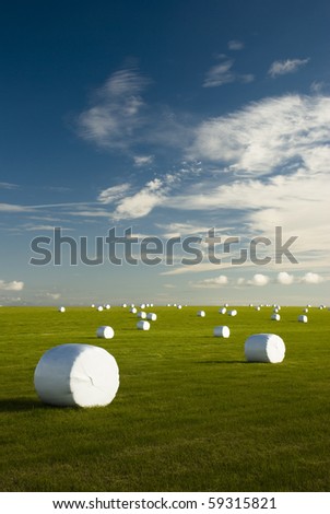 Similar – Foto Bild Marshmallow Feld III