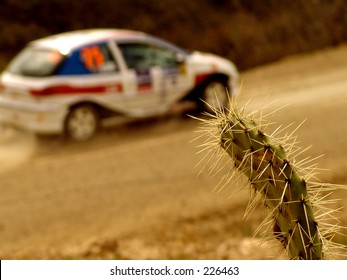 WRC Rally Car Mexico 2005 Nopal Dust