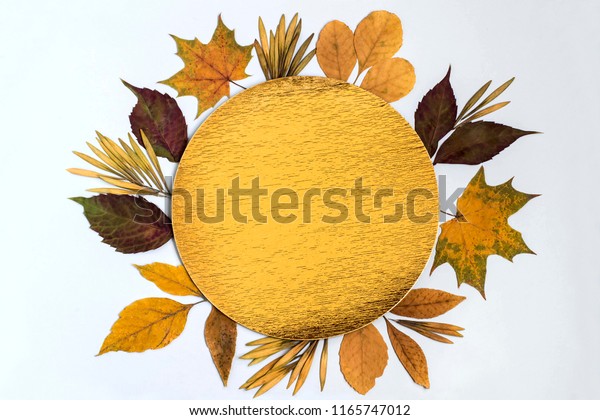 Wreath of colorful autumn leaves, seeds and\
golden circle of foil. Approach of autumn. Minimal style. Original\
autumnal background