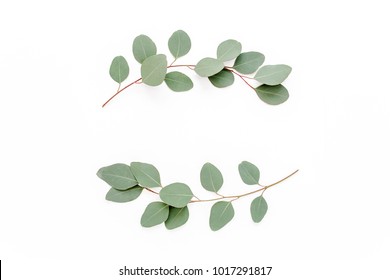 Wreath frame made of branches eucalyptus isolated on white background. lay flat, top view - Shutterstock ID 1017291817