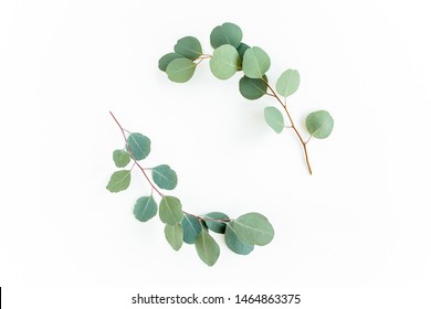 Wreath frame made of branches eucalyptus and leaves isolated on white background. lay flat, top view