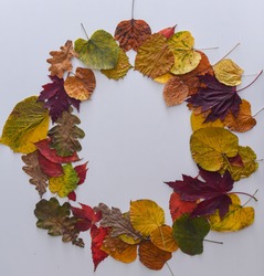 Wreath Made Of Autumn Dried Leaves On White Background. Flat Lay, Top View, Copy Space