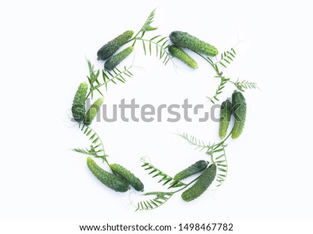 Similar – Green wreath with flowers and plants on white