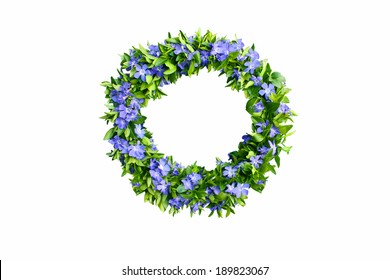 wreath made of fresh, flowering evergreen on white 