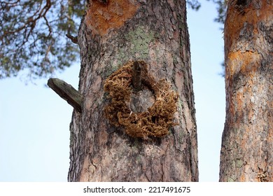 A Wreath Of Withered Wildflowers Hangs On A Bough Of A Tree