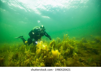 Wreck Diving In The Baltic Sea