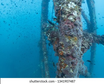 Wreck Diving At Chang Wreck