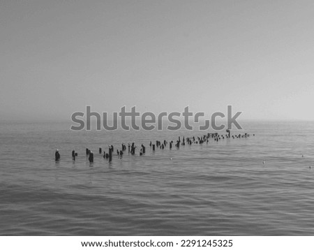 Similar – Silhouettes in low tide