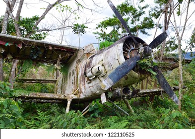 Wrecked airplane in jungle