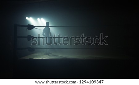 Wrestler on the ring with mist