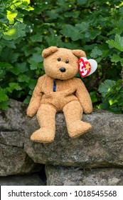 WREXHAM, UK - MAY 31, 2015: Collectible Ty Beanie Baby, Fuzz the bear. Birth date July 23 1998, retired December 23 1999. Sat on a stone wall with Gooseberry bush background. With heart shaped tag.