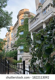 Wrigleyville In The Spring. Turn Of The Century, Chicago Greystones With Ivy. Roscoe Street.