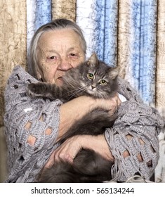 2,253 Old lady cat Images, Stock Photos & Vectors | Shutterstock